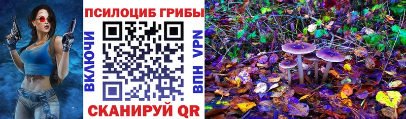 Псилоцибиновые грибы Magic Shrooms  где найти   гидра как войти  Грайворон 